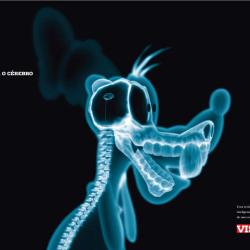 VET Test CoLector